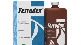 Aplacando ade e ferrodex nos porcos da mini fazendinha/ galinha patos gansos Carneiro cabrito 