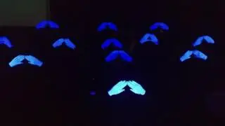 Pai nosso -Coral de luvas Santas mãos