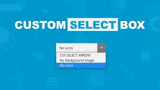 Design A Custom Select Box Using HTML and CSS Only