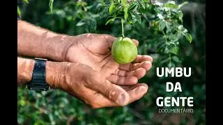 DOCUMENTÁRIO UMBU DA GENTE