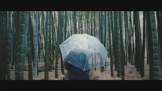 JAY CALABRIA - FUMANDO FLORES