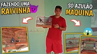 😍 MOSTRANDO AZUL&Atilde;O DOS MEUS AMIGOS | S&Oacute; AZUL&Atilde;O M&Aacute;QUINA!!! (Assista at&eacute; o final)