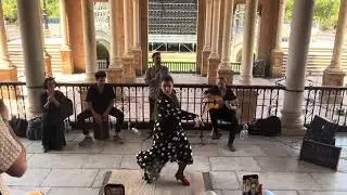 Flamenco