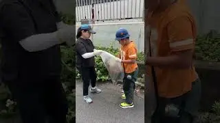 Japanese school kids cleaning Tokyo #avyan #japanlife #japan #school #cleaning #citycleanup #kids
