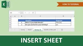How To Insert Sheet In Excel | Beginner Tutorial