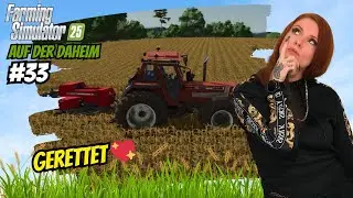 LS25 | Singleplayer [Map Daheim]: S&uuml;&szlig;es Dilemma 🍬Welche Feldfrucht w&auml;re besser? 🌾 #33