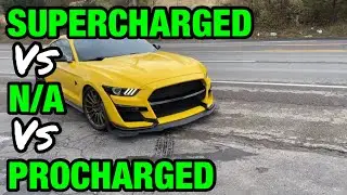 Ford Mustang GT 5.0 COYOTE V8: SUPERCHARGED Vs PROCHARGED Vs NATURALLY ASPIRATED!