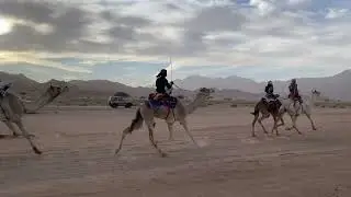 اليزر لمحمد عوده الدقيقي (وادي حقيل )