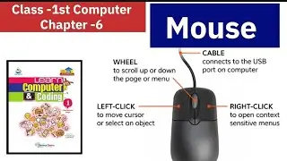 Mouse Class-1st Computer Chapter -6 Solution in hindi | about Mouse | Parts of the mouse