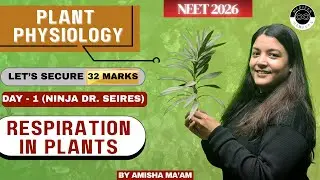 Respiration in Plants 🌿 | Plant Physiology Explained | Class 11 Biology | NEET 2026 | By Amisha Mam