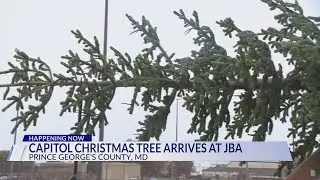 Capitol Christmas Tree Arrives at JBA