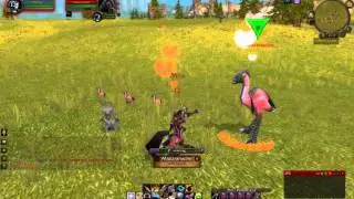 Mazzranache Tame - Rare Spawn Tallstrider in Mulgore
