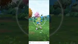 Pokemon Go || SHINY HITMONCHAN #pokemongo #shinyhitmonchan