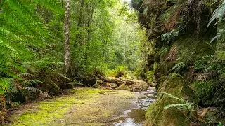 Blue Mountains -  Lawson Park - Empire Pass Track