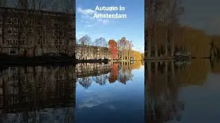 One of the most beautiful spots to enjoy Autumn in Amsterdam #travel #amsterdam
