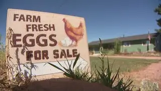 Giant metal rooster stolen from Boulder County home
