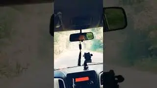Ke Ghar kab #shorts#trending#salaar