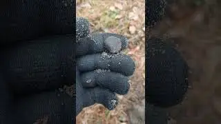 FOUND IN THE FOREST TAKI STRZAŁ Z TAKIEGO DOŁKA #metaldetecting #treasuresearch