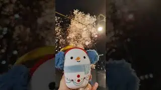 Manny celebrates New Year #happynewyear #happy2026 #squishmallows #fireworks #shorts #vlog