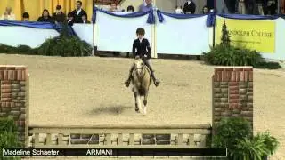 371 ARMANI Madeline Schaefer, Class 4 Small Pony Hunter