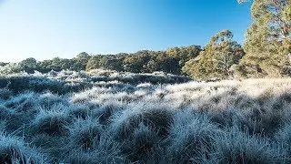 landscape photography on location/ebor nsw. so much frost