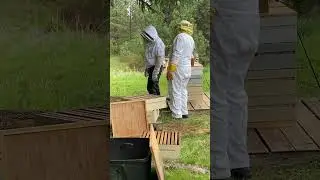 Helping with the bees with my family. #honeybee #honeybees #beekeeping