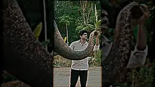Hati Ka Sandar Art 😕 | #shorts #animal #art #smart #movie #new #south #love #funny #village
