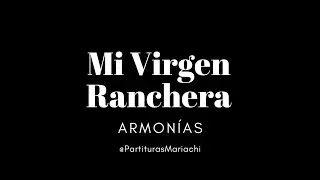 Como Tocar 