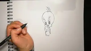 How To Draw A CUTE TWEETY bird, Disney,