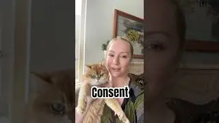 Consent is important and Brittany Steffen is here to explain it!