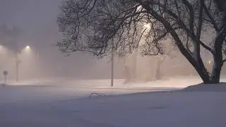 Starkiller &mdash; Winter Night  // Ambient, Winter Atmosphere