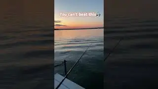 You can&rsquo;t beat this&hellip;😳🌅🎣 #shorts #fishing #sunset