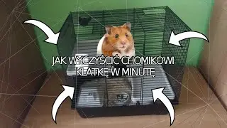 JAK WYCZYŚCIĆ CHOMIKOWI KLATKĘ W MINUTĘ ! SPOS&Oacute;B JEST SZOKUJĄCY !  PORADNIK !