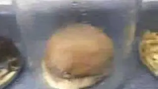 Картошка из макдака