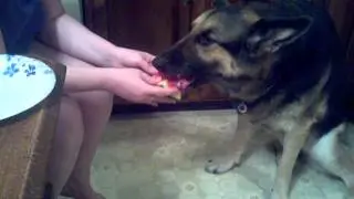 Missy Trucee loves her watermelon