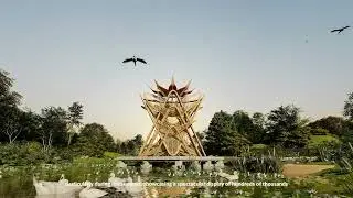 The Blooming Lotus Animation Video | Bamboo Swing Game