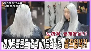 [화이트블론드] 염색 노하우공개~!!(땋기붙임머리 염색제작 콤보)
