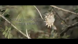 Timeless Moments  /  時代を超えた瞬間
