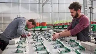 Hebrew University's Robert H. Smith Faculty of Agriculture, Food and Environment Celebrates 75 years