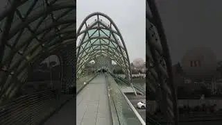 Peace bridge Tbilisi,georgia #travelvlog #digvijaynisartavlogs