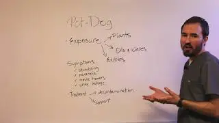 Marijuana Toxicity in Pets