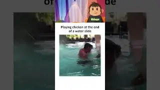 Dude should've play duck instead #funny #funnyvideo #funnyshorts