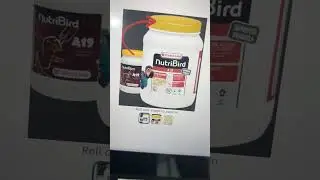 Best Hand-Feeding Formula for Cockatiel Babies &ndash; Healthy Growth & Strong Chicks!