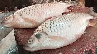 CHINESE BIG PUTTY FISH CUTTING | Fillet Fish Skills