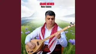 Halay Salama