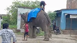 HATHI MERE SATHI