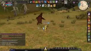 Shaiya-lvl53 Um archer soloing