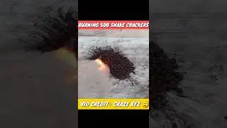 BURNING 500 SNAKE CRACKERS 🔥🔥 #shorts@CrazyXYZ @MRINDIANHACKER