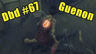 Dbd #67 | Guenon