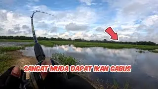 CASTING HARUAN | MANCING DI SPOT LIAR,BERASA MANCING DI KOLAM IKAN GABUS🎣